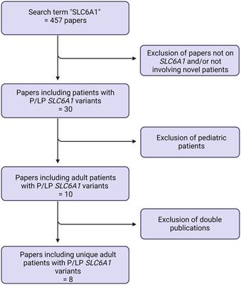 The phenotypic presentation of adult individuals with SLC6A1-related neurodevelopmental disorders